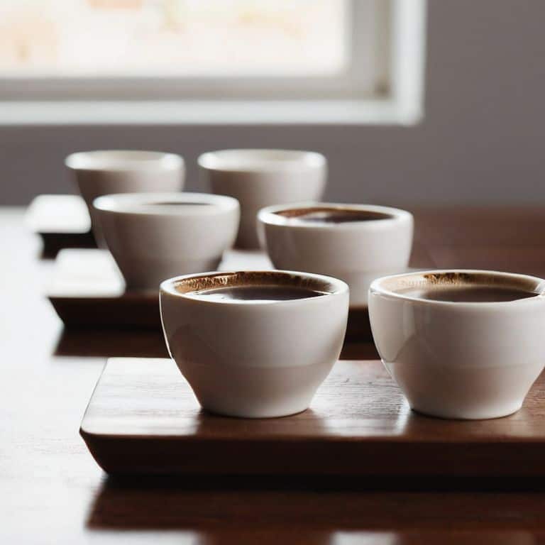 A Guide to the Sca Coffee Cupping Protocol