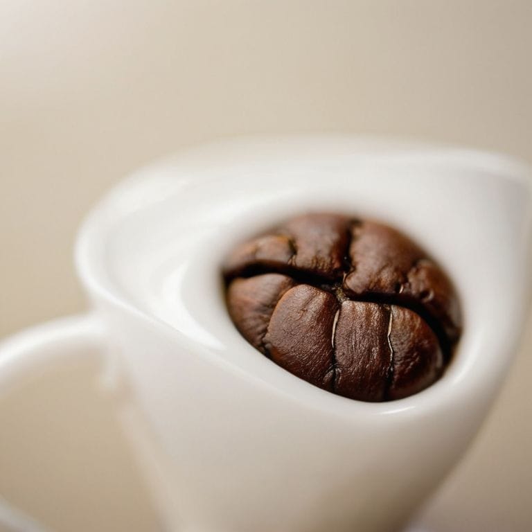 An Explainer: What Is a Coffee Bloom and Why Is It Important?