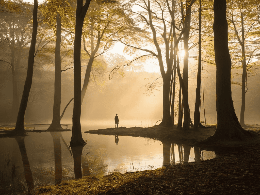 Embracing Shadows for Inner Self